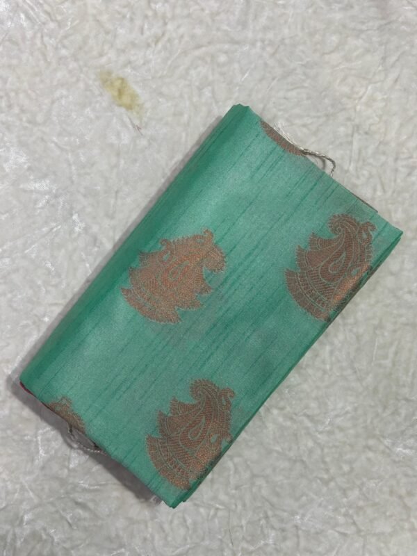 Elegant Mint Green Rajasthani Cotton Saree with Zari Paisley Work – Handwoven in Varanasi